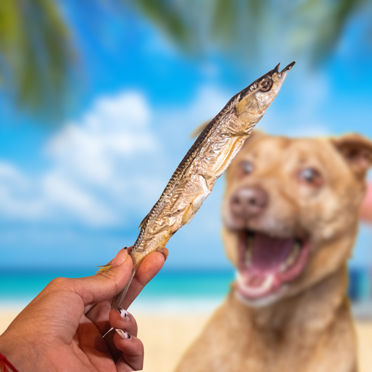 Paquete de balajú, snacks para mascotas Pawsa'o