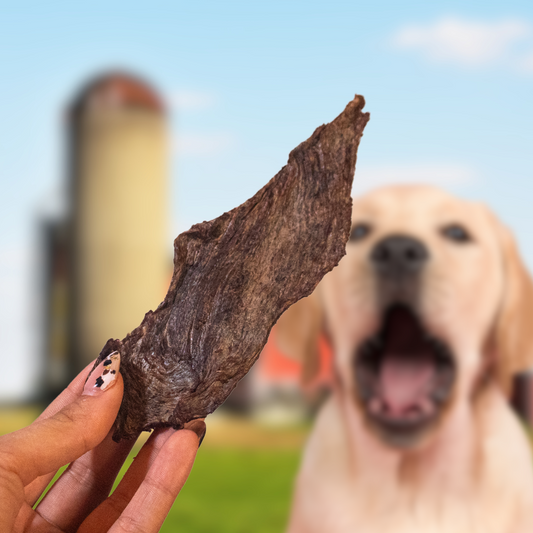 Paquete de beef strips, snacks para perros Pawsa'o
