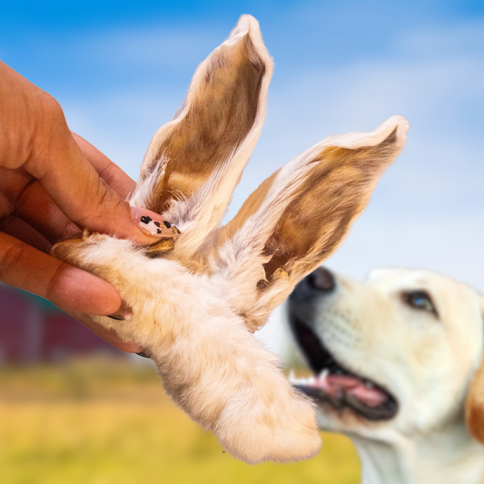 Paquete de patas y orejas de conejo, snacks para perros Pawsa'o