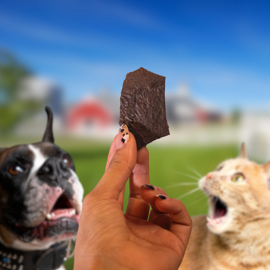 Paquete de hígado, snacks para perros y gatos Pawsa'o