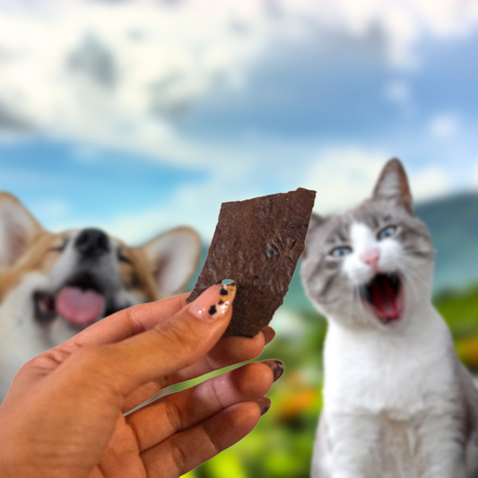 Paquete de hígado con calabaza, snacks para perros y gatos Pawsa'o