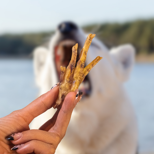 Paquete de patas de pollo, snacks para perros Pawsa'o