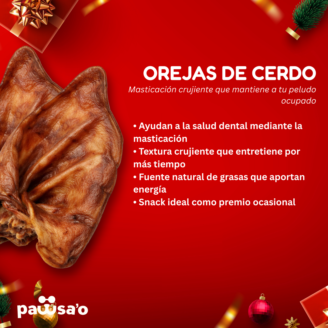 La Fiesta Box – Caja de Temporada para mascotas - Snacks Deshidratados