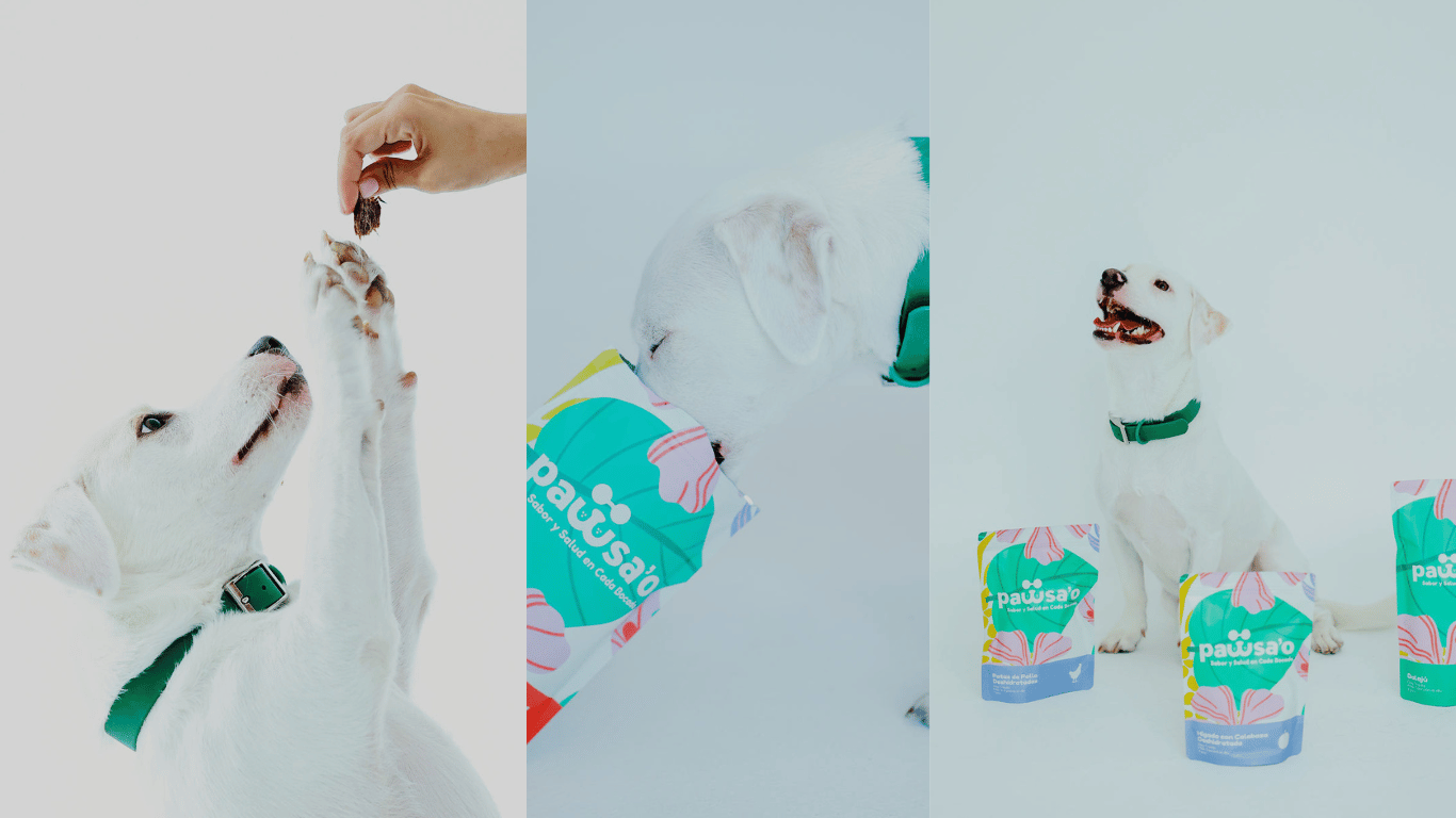 Perro de Pawsa'o disfrutando del Snack